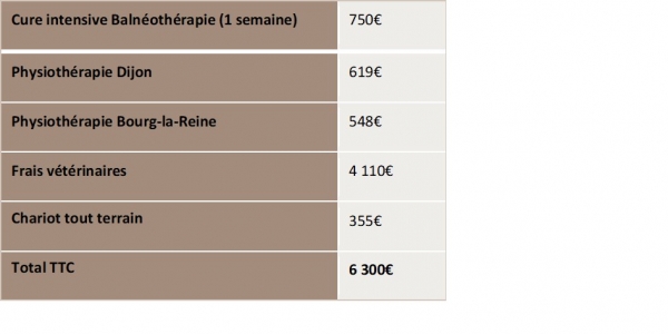 Tableau budget